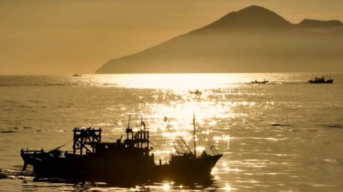 Experts stunned after fisherman captures wild sea creature not seen in nearly a century: 'The beautiful myth reappears'