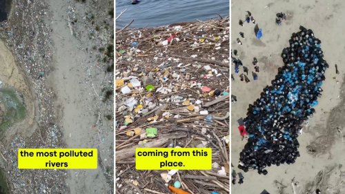 Marine biologist documents unbelievable team effort to clean up the 'most polluted river in Europe': 'Over 400 bags … in just a few hours'