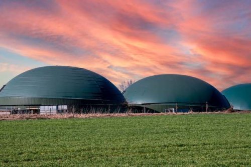 Company hits jaw-dropping milestone after unveiling breakthrough use for animal waste: 'Deserves commendation'