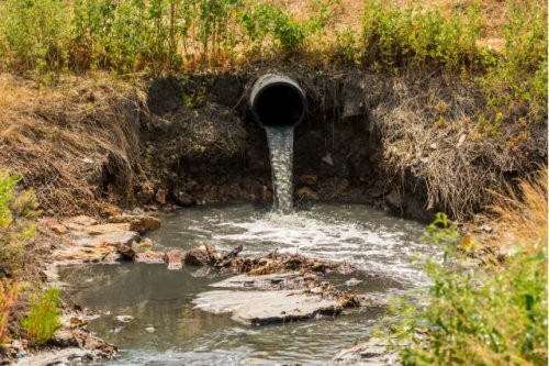Scientists develop mind-blowing method to make use of sewage: 'From waste to a valuable resource'