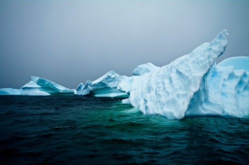 Scientists make incredible discovery after exploring newly revealed section of seafloor: 'We seized upon the moment'