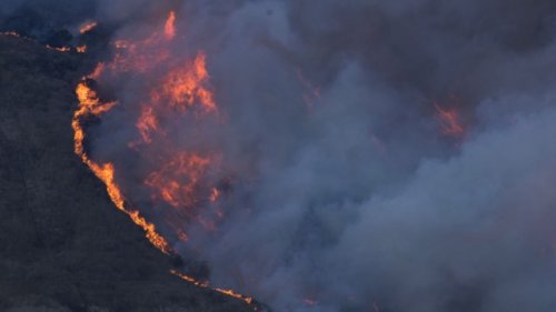 'Dangerously fast' wildfire engulfs thousands of acres in Southern California, forcing mass evacuations: 'Another year of new extremes'