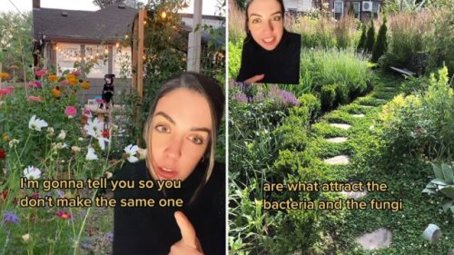Professional landscaper reveals the biggest mistake she regrets making in her own garden: ‘I am reconsidering now’