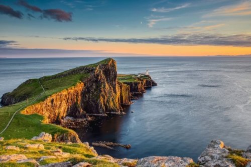 Group begins costly mission to eradicate invasive creatures spreading across remote islands: 'Taking action is critical'