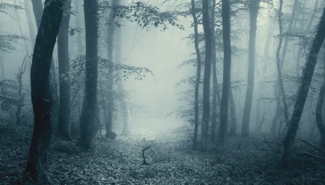 US lawmakers spark backlash with bills impacting crypto industry: 'There's almost no oversight'