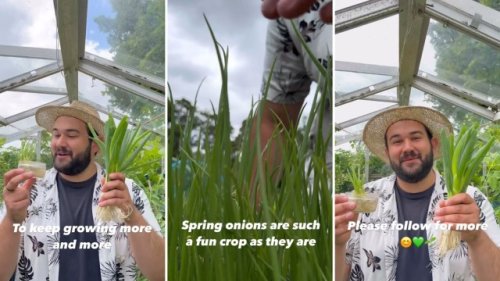 Garden pro shares 'super easy' hack for free supply of green onions: 'I've been doing this for years'