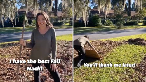 Mom shares her ingenious hack to keep a leaf-free yard throughout the fall: ‘Clear your yard in seconds'