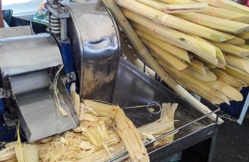 Researchers make game-changing breakthrough that transforms sunlight and sugarcane into futuristic fuel: 'Four times higher'