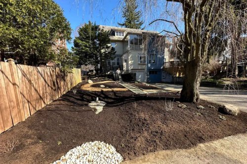 Homeowner shares 'stunning' before-and-after photos of their new rain garden's rapid success: 'I’m so impressed'