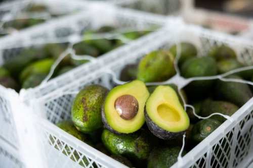 Officials expose deepening crisis tied to booming avocado industry: 'The whole world should be concerned'