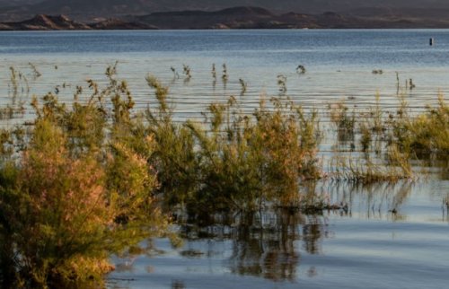 Major US lake hits record-breaking levels after years of historic water shortage, but issues persist: 'Supply-demand imbalance is a problem'