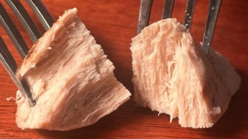 Food company debuts game-changing platform to reimagine protein production: 'The biggest leverage we have'