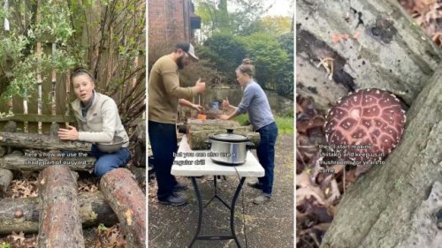 Home gardeners share method to keep food costs down by growing common grocery product at home: 'Coolest thing I've seen all day'