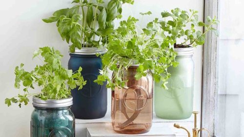 19 brilliant gardening products worth their weight in tomatoes