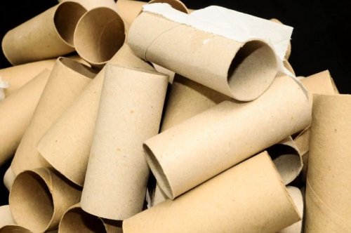 Gardener shares brilliant way to repurpose toilet paper rolls: 'Nice tip'