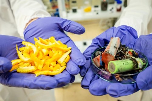 Scientists make breakthrough in recycling lithium batteries using fruit peels: ‘These findings build on our existing body of work’