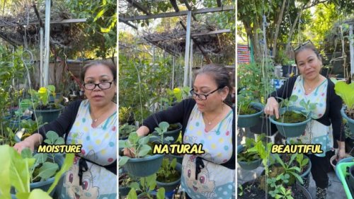 Expert gardener shares ‘beautiful’ tip to keep your soil moist: ‘This woman is going to change my life’