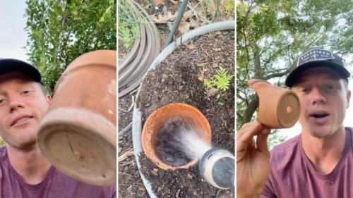 Gardener revives ancient hack for effortlessly watering plants: ‘I’ll have to try this’