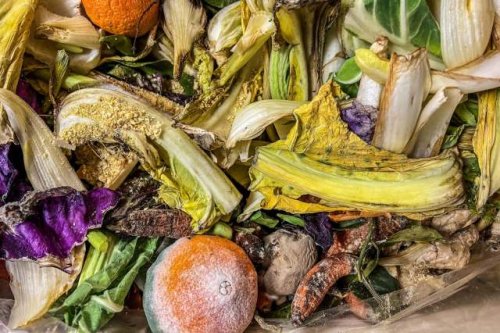 Scientists unveil new-age tech that could solve issue with quick-rotting fruit: 'Possible to double the shelf life of strawberries'