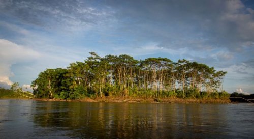 Fears grow as residents at mouth of Amazon River face troublesome phenomenon: 'Nature is revolting'