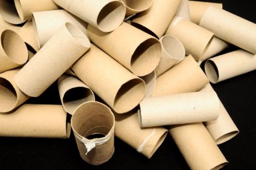 Pet owner shares creative way to keep your cat busy using old toilet paper rolls: 'What a great idea'