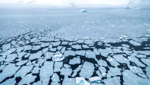 Study warns growing threat could drastically alter Arctic in decade to come: 'This would transform the Arctic into a completely different environment'