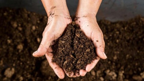What is ‘carbon farming’? How soil could hold a major key in preventing Earth’s overheating