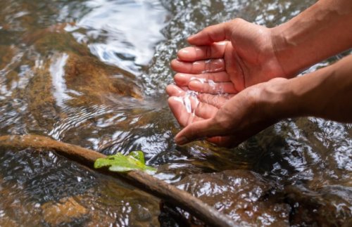 Scientists spark major breakthrough with 'blanket' that makes rivers drinkable: 'We are the only ones who have made these structures'