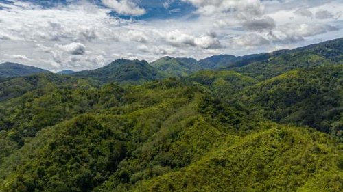 Researchers stunned after hiker stumbles upon rare creature last seen over 100 years ago: 'Did you find it?'