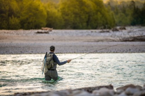 Fisherman earns six-figure sum for help in removing menace from state rivers — how experts use bounties to control populations of problematic species