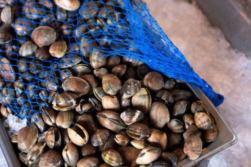 FDA bars Chinese seafood companies from doing business in US after disturbing discovery found in imported clams — here's what it found