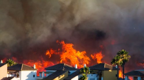 Residents baffled by insurance company's shocking decision: 'I just don't know what else a homeowner could do other than the things we have done'