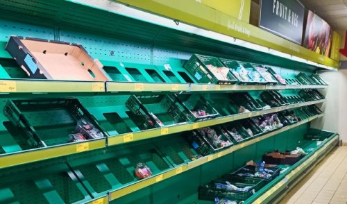 Farmers issue warning about popular fruit missing from store shelves: 'Not going to look attractive'