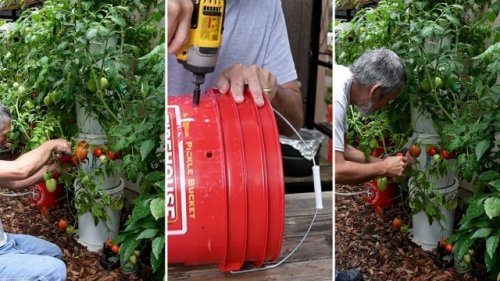 Hydroponics gardener shares money-saving hack for building vertical gardens: ‘This is so creative’