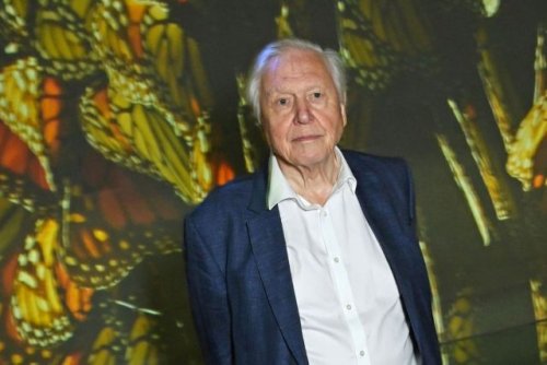 Sir David Attenborough makes bold statement about the future of humanity: ‘This needs to be shared as much as possible’