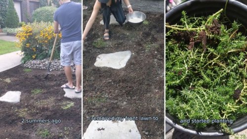 Homeowner shares stunning before-and-after photos after removing her front lawn: ‘A wise and beautiful decision’