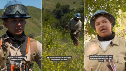 Local team fights invasive pests while empowering the next generation with career opportunities: 'A fantastic organization'