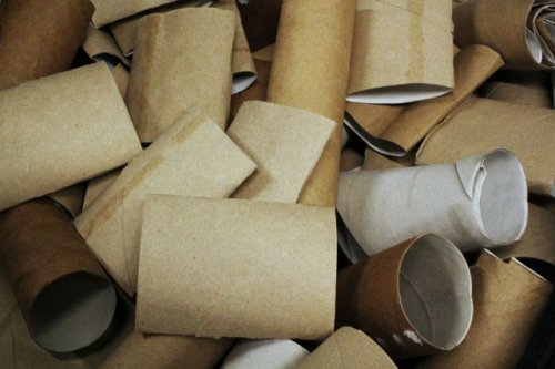 Cat owner shares 'genius' idea using item that usually winds up in the trash: 'Love this'