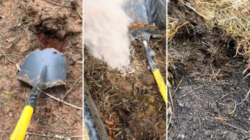 Gardener reveals how to make free garden soil using 'old fashioned' method used by pioneers: 'So beautiful'