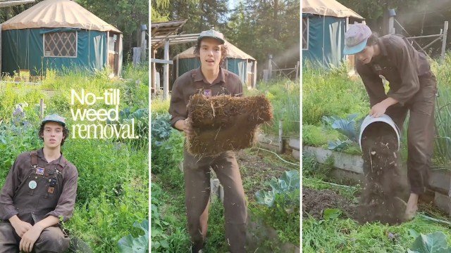 HOUSE & GARDEN - cover