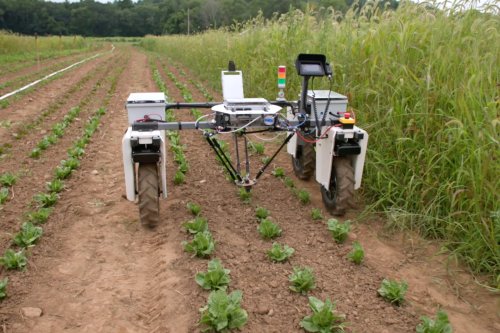 College team unveils AI-powered robot that could transform how we grow food: 'Truly exciting'