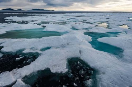 Scientists sound alarm on disturbing phenomenon emerging in the Arctic: 'Wide-ranging ... ramifications'