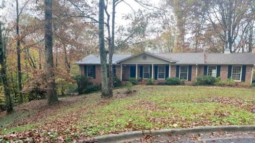 Homeowner stuns with dramatic yard transformation three years after tearing everything out: 'My jaw fell to the floor'