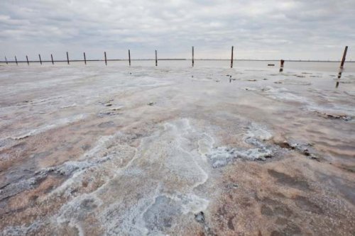 Researchers develop game-changing device that can extract valuable material from salt water: 'Tremendous potential'