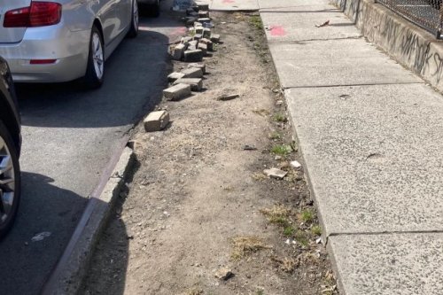 Resident shows off how they transformed city sidewalk in front of their home to serve a better purpose