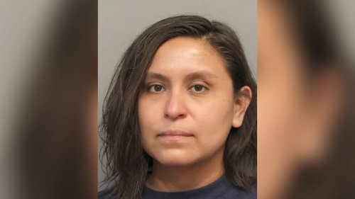 Cop Mom Arrested for ‘Using Taser on Her Kids’