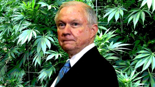Donald Trump’s Cabinet Picks Could Be a Bummer for Legal Weed in 2017