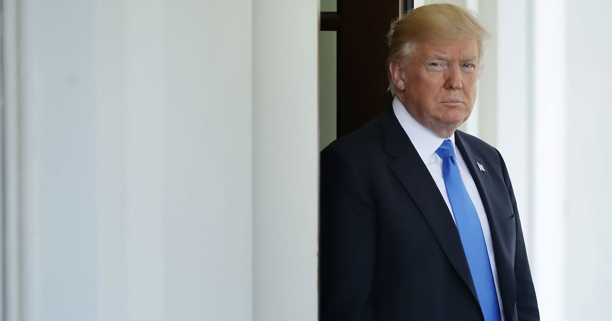 Cindy Yang Affair From Hand Jobs to GripandGrins With Donald Trump