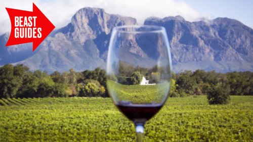 Your Guide to South African Wine Country