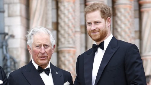 Prince Harry and Charles Reportedly Barely Speaking After Harry Takes a Jab at Father Over ‘CBE Scandal’